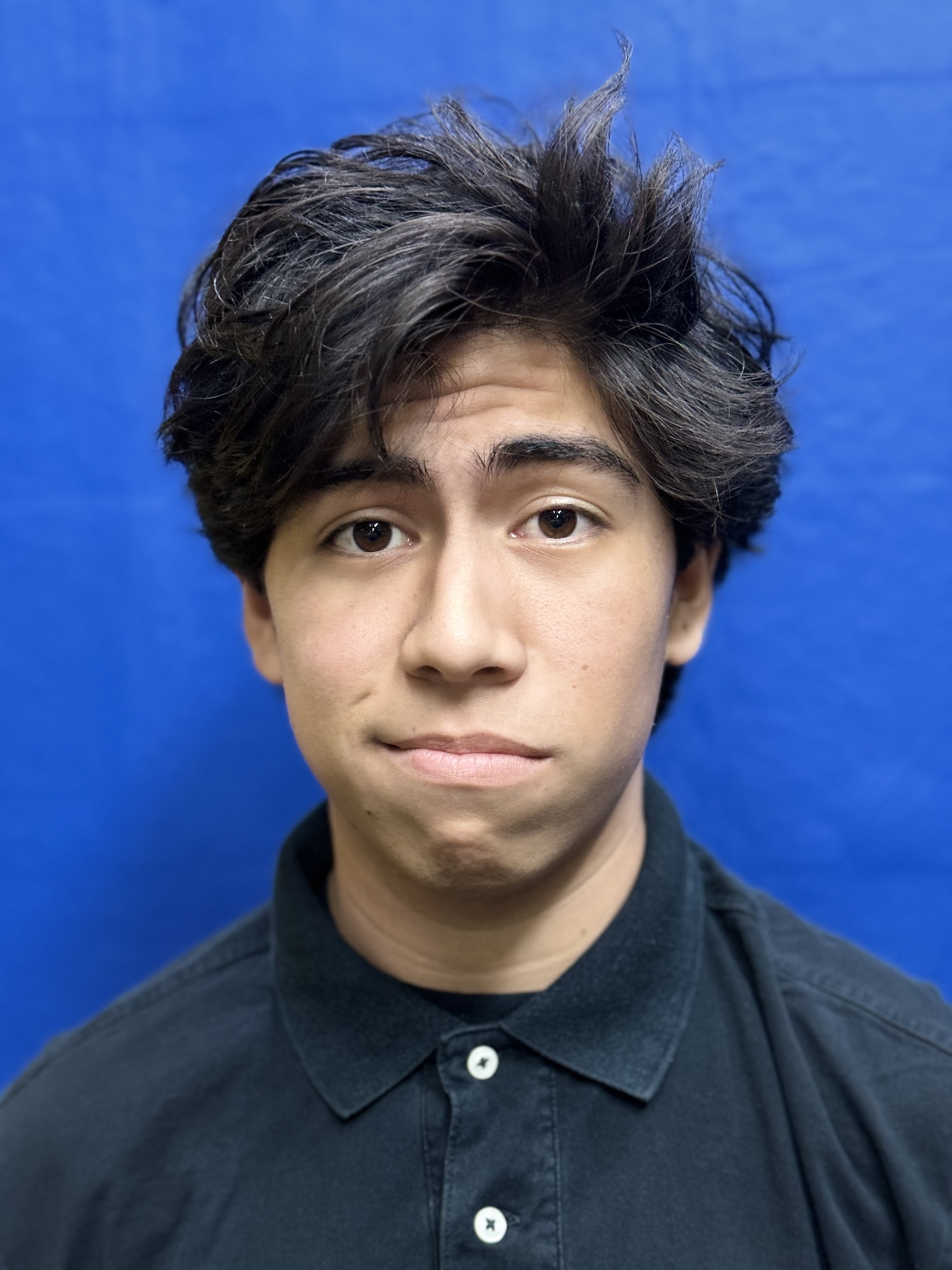 Newton Arcilla as Gogo