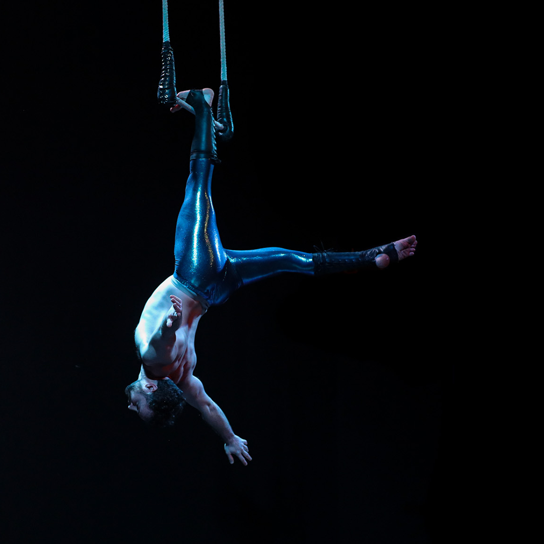 Photo: Merryn Novelle Photography