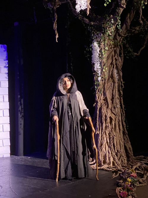 Into The Woods March 7-15 6