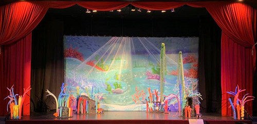 The set of The Rainbow Fish Musical at the Bellmore Showplace. 1