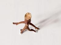 LITTLE BROTHER AND TWIGLET