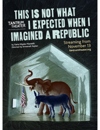 This Is Not What I Expected When Imagined a Republic show poster