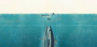 Yellowfin show poster