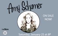 Amy Schumer At The Vets show poster