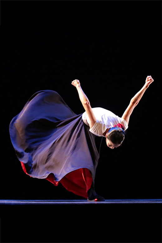 Program Five – Martha Graham Dance Company show poster
