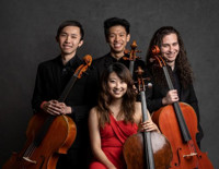 Galvin Cello Quartet show poster