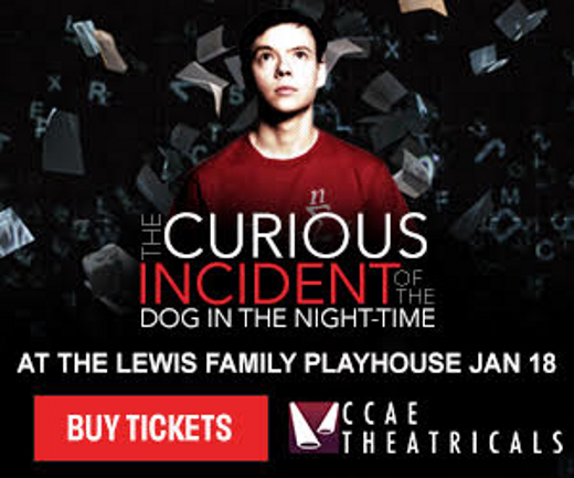 The Curious Incident of the Dog in the Night-Time in San Diego