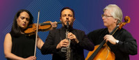 The Metropolitan Orchestra Chamber Players Live in Leichhardt in Australia - Sydney