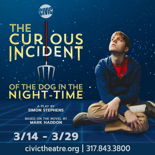 THE CURIOUS INCIDENT OF THE DOG IN THE NIGHT-TIME