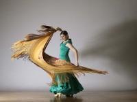 Flamenco Vivo Carlota Santana: The Soul of Flamenco