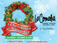 A Christmas to Remember show poster