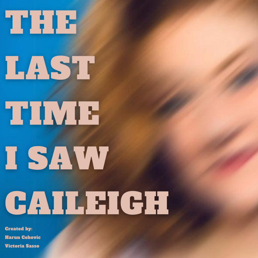 The Last Time I Saw Caileigh show poster