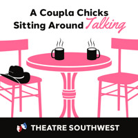A Coupla Chicks Sitting Around Talking show poster