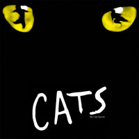 Cats show poster