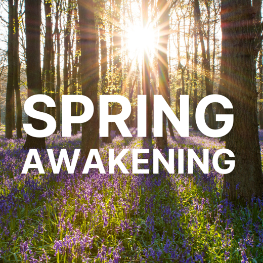 Spring Awakening