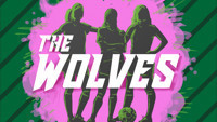 The Wolves in Birmingham