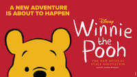 Winnie The Pooh show poster