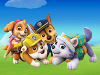 Paw Patrol Live! Race To The Rescue show poster