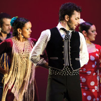  Flamenco Vivo Carlota Santana - De la Frontera