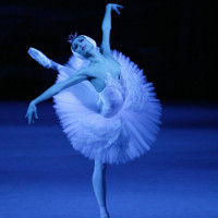 Swan Lake - The Bolshoi Ballet in HD