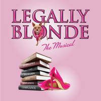 Legally Blonde the Musical in Charlotte