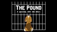 The Pound: A Musical for the Dogs show poster