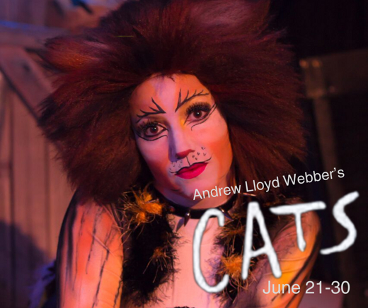 Andrew Lloyd Webber/s Cats show poster