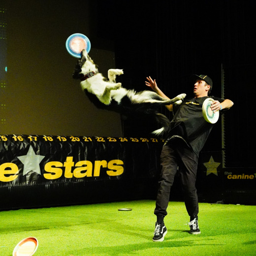 The Canine Stars Stunt Dog Show