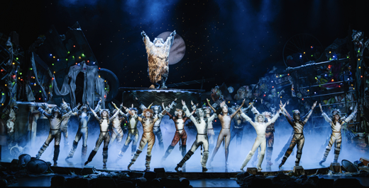 CATS The Musical