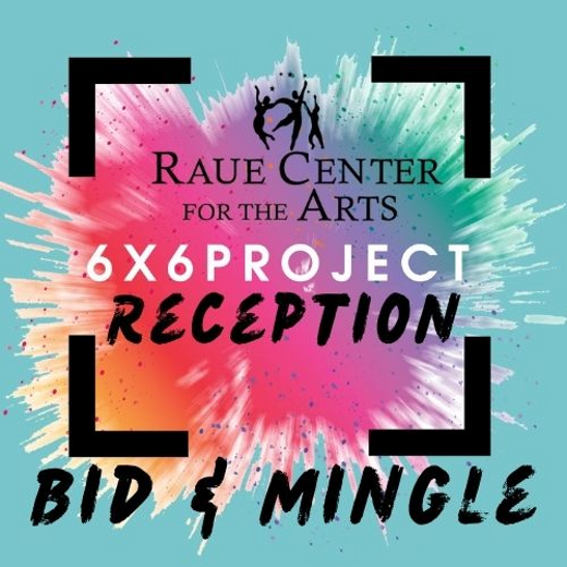 6X6 Project Reception show poster