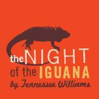 The Night of the Iguana show poster