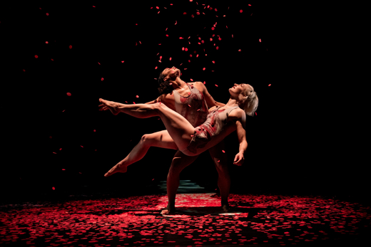 PILOBOLUS show poster