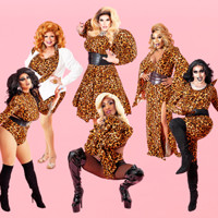 Drag Brunch with The Kalamazoo Kittens in Michigan Logo