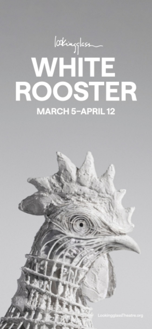 White Rooster