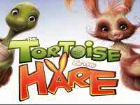 Tortoise and the Haire