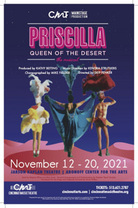 Priscilla, Queen of the Desert show poster
