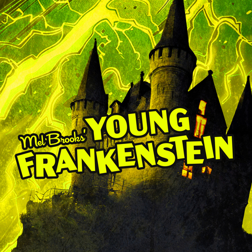 Mel Brooks' Young Frankenstein show poster