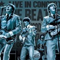 The Bootleg Beatles in Concert show poster