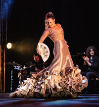 Flamenco Intimo show poster
