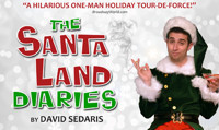 The Santaland Diaries show poster