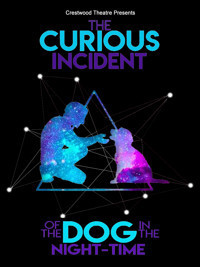 The Curious Incident of the Dog in the Night-Time show poster