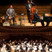 American Symphony Orchestra Plays Ellington show poster