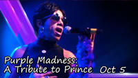 Purple Madness: A Tribute to Prince show poster
