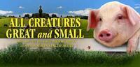All Creatures Great and Small show poster