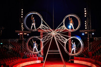 ZIRK! CIRCUS Extended Again Till 11th of August - Final Tickets on Sale! 