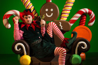 TheatreWorks Silicon Valley Presents The Santaland Diaries show poster