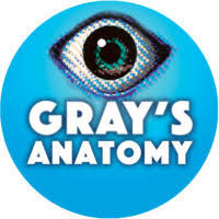 GRAY'S ANATOMY show poster