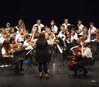 Fingal County Youth Orchestra 2015