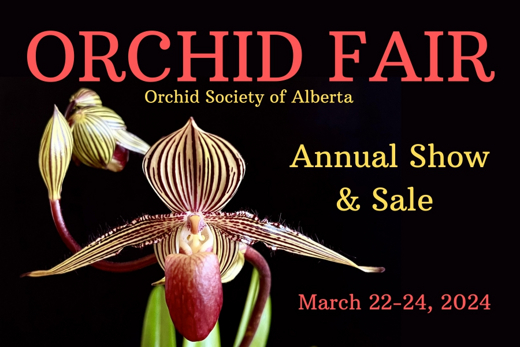 Orchid Fair Welcomes Spring! in Edmonton