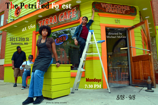 The Petrified Forest